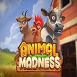 Animal Madness