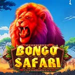 Bongo Safari